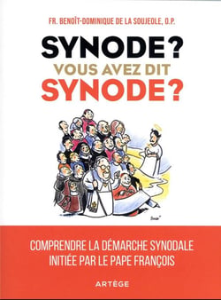 Synode ? vous avez dit synode ? comprendre la démarche synodale initiée par le pape François