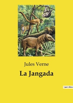 La Jangada : Une aventure transition sur l'Amazone