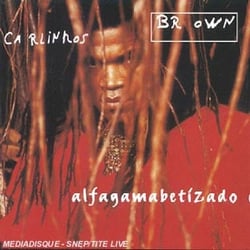 Alfagamabetizado