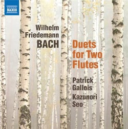 Duets for two flutes