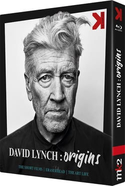 David Lynch - Origins