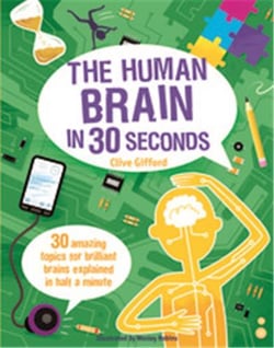 The human brain in 30 seconds (ivy kids)