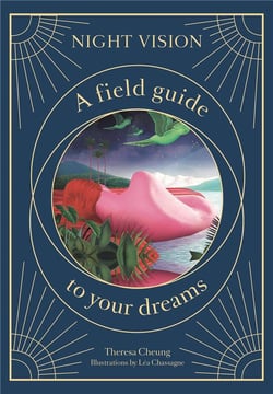 Night vision a field guide to your dreams