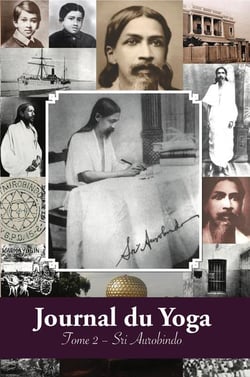 Journal du yoga t.2 : notes de Sri Aurobindo sur sa discipline spirituelle (1914)