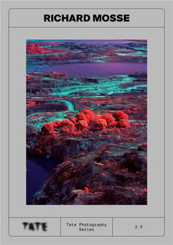 Tate photography : Richard Mosse
