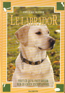 Le labrador