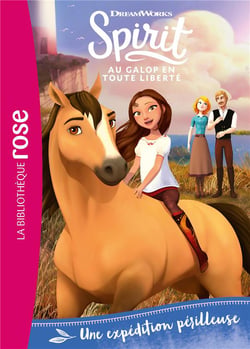 Spirit 20 - Une expédition périlleuse
