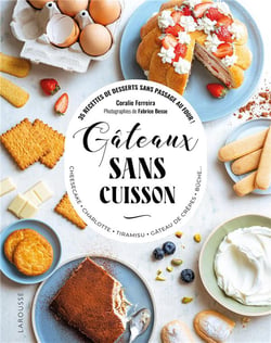 Gâteaux sans cuisson : 35 recettes de desserts sans passage au four !