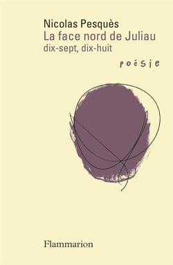 La face nord de Juliau - dix-sept, dix-huit
