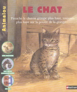 Chat ne