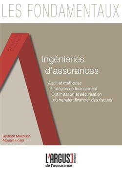 Ingénieries d'assurances - audit et méthodes, stratégies de financement, optimisation et sécurisation du transfert financier des risques