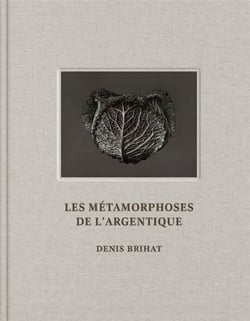 Les métamorphoses de l'argentique