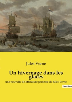 Un hivernage dans les glaces : Une aventure polaire transition au coeur des glaces arctiques