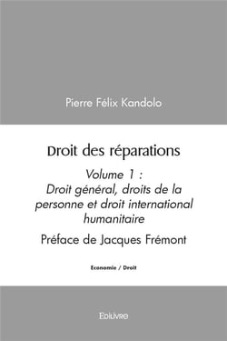 Droit des reparations - volume 1 droit general, droits de la personne et droit international humanit