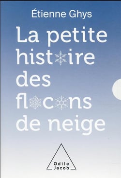 La petite histoire des flocons de neige