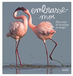 Embrasse-moi - petit traité de bisoulogie en images