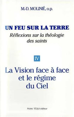 Un feu sur la terre - Tome 4 : La vision face à face et le régime du ciel