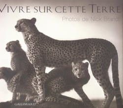 Vivre sur cette terre - photographies d'afrique orientale