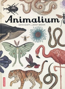 Animalium