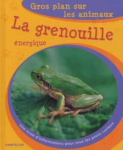 Gros plan sur les animaux 11. la grenouille energique