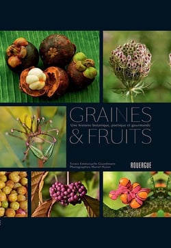 Graines et fruits