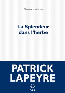 La splendeur dans l'herbe