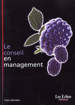 Le conseil en management