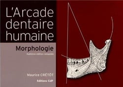 L'arcade dentaire humaine - morphologie