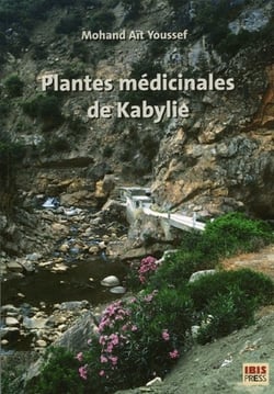 Plantes médicinales de kabylie