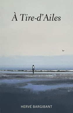 À tire-d'ailes