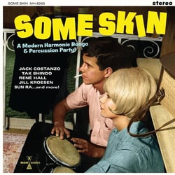 Some Skin - A Modern Harmonic Bongo And Percussion Party
