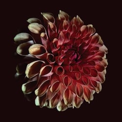 Unfolding - édition 180g