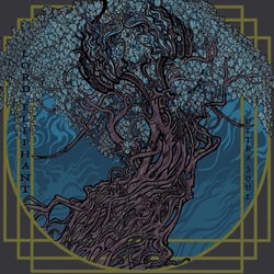 Ultra Soul - édition limitée colorée