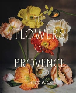 The flowers of Provence