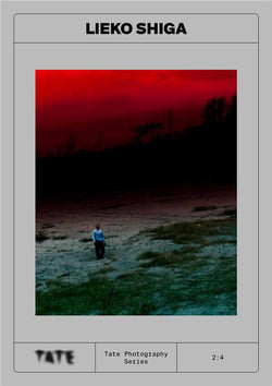 Tate photography : Lieko Shiga