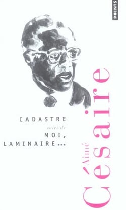 Cadastre - moi, laminaire...