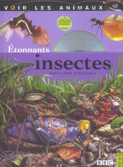 Étonnants insectes