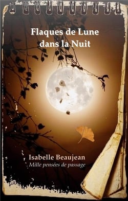 Flaques de lune dans la nuit : mille pensées de passage
