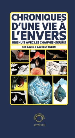 Chroniques d'une vie à l'envers : Une nuit avec les chauves-souris