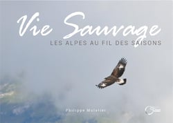 Vie sauvage - les Alpes au fil des saisons
