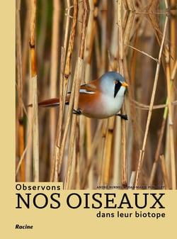 Observons nos oiseaux dans leur biotope : plus de 200 espèces repertoriées