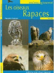 Memo - les oiseaux rapaces