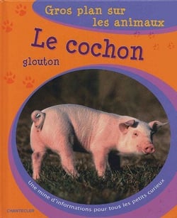 Gros plan sur les animaux 12. le cochon glouton