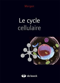 Le cycle cellulaire