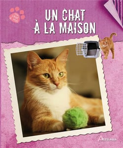 Un Chat A La Maison