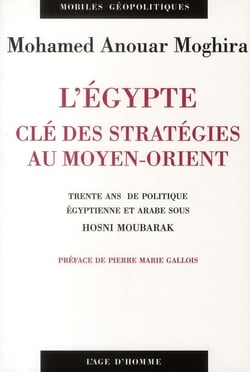 Egypte - entre autocratie et aires géopolitiques - trente ans de politique égyptienne et arabe sous Hosni Moubarak (1981-2011)