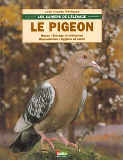 Pigeon (le)