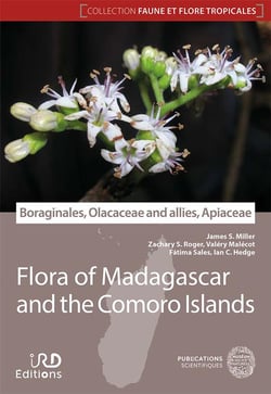 Boraginales, olacaceae and allies, apiaceae : flore de madagascar et des comores