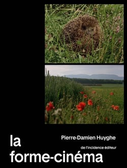 La forme-cinéma