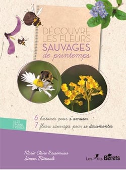 Découvre les fleurs sauvages du printemps